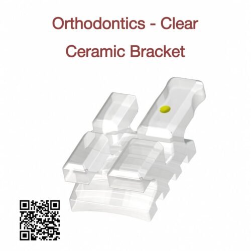 Clear Ceramic Bracket