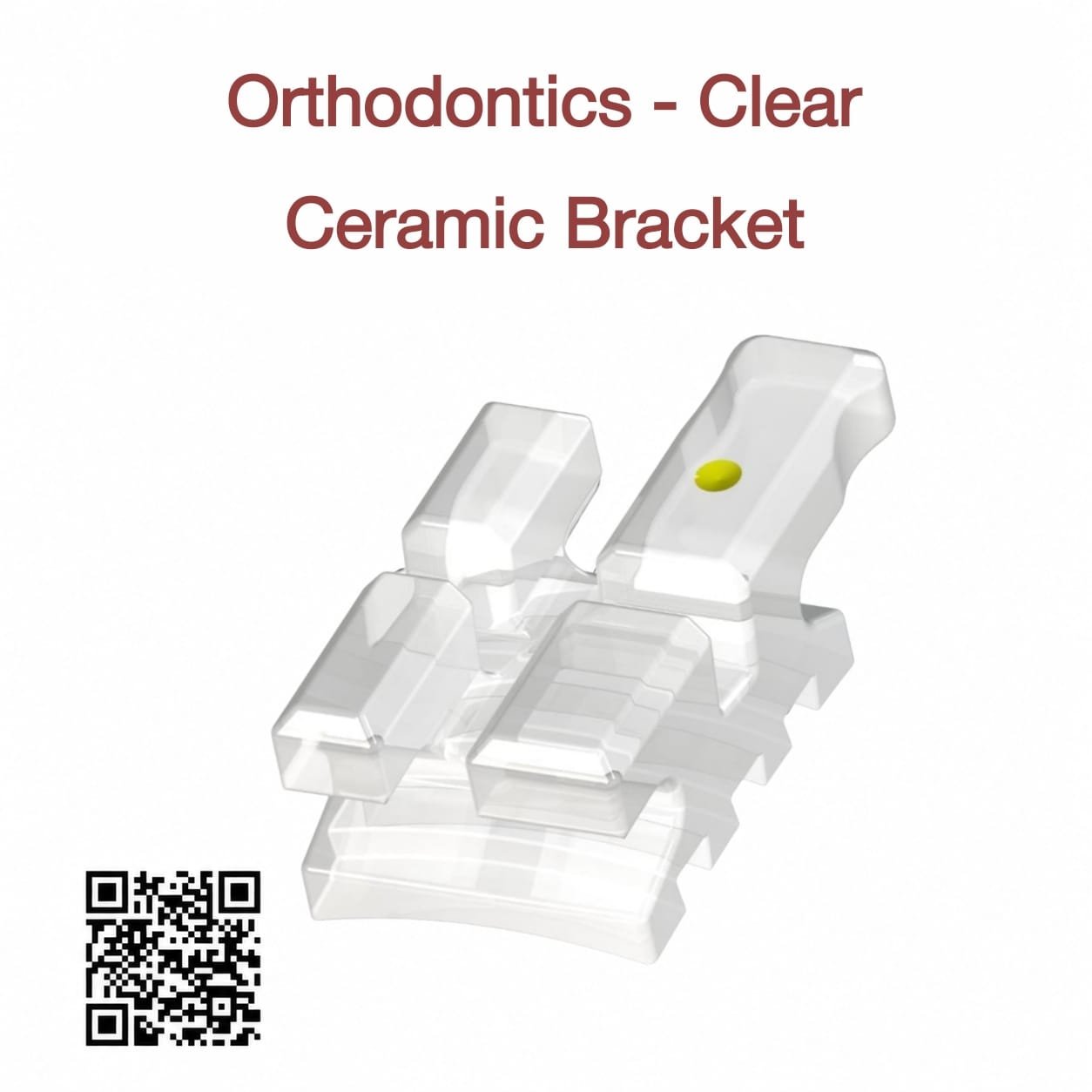 Clear Ceramic Bracket