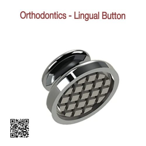 Lingual Button