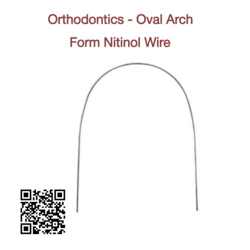 Oval Arch Form Nitinol Wire